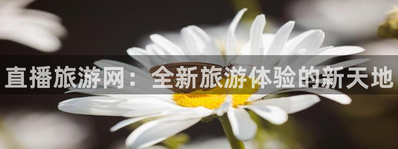 说球帝tv：直播旅游网：全新旅游体验的新天地