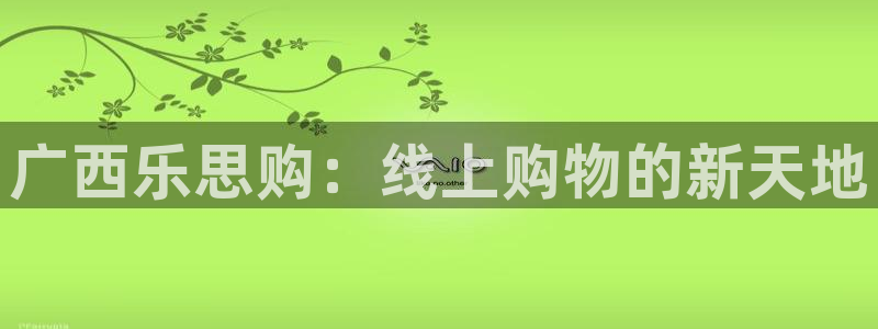 说球帝在线：广西乐思购：线上购物的新天地