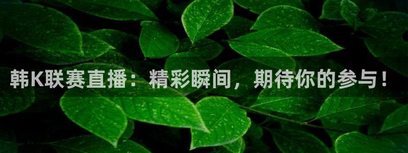 nba直播在线观看说球帝：韩K联赛直播：精彩瞬间，期待你的参与！