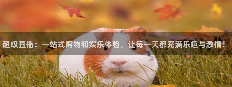 直播nba免费观看说球帝：超级直播：一站式购物和娱乐体验，让每一天都充满乐趣与激情！
